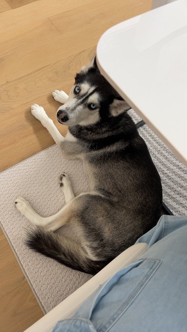 Watch Morgpie's leaked NSFW photo on TwXstars