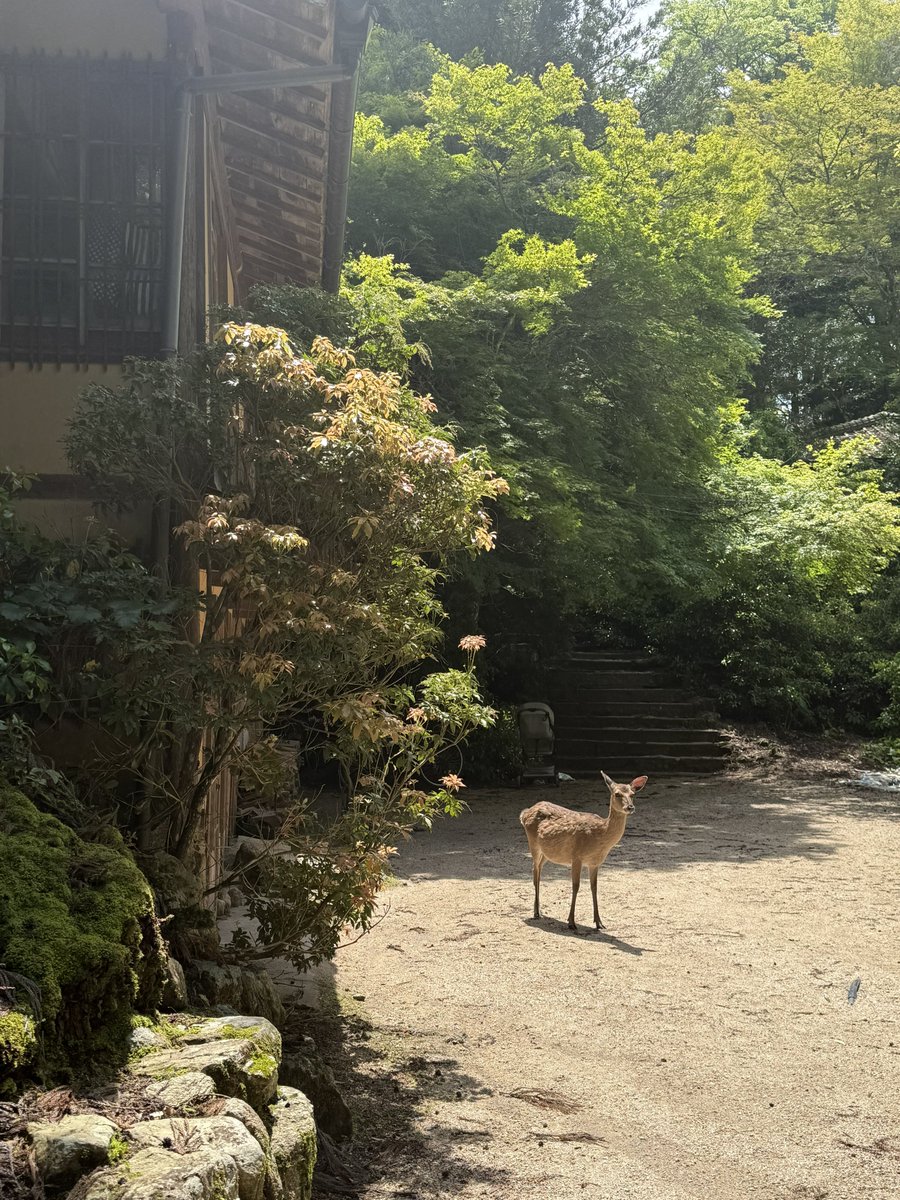 Dark Pancakes ⚡️ tweet media