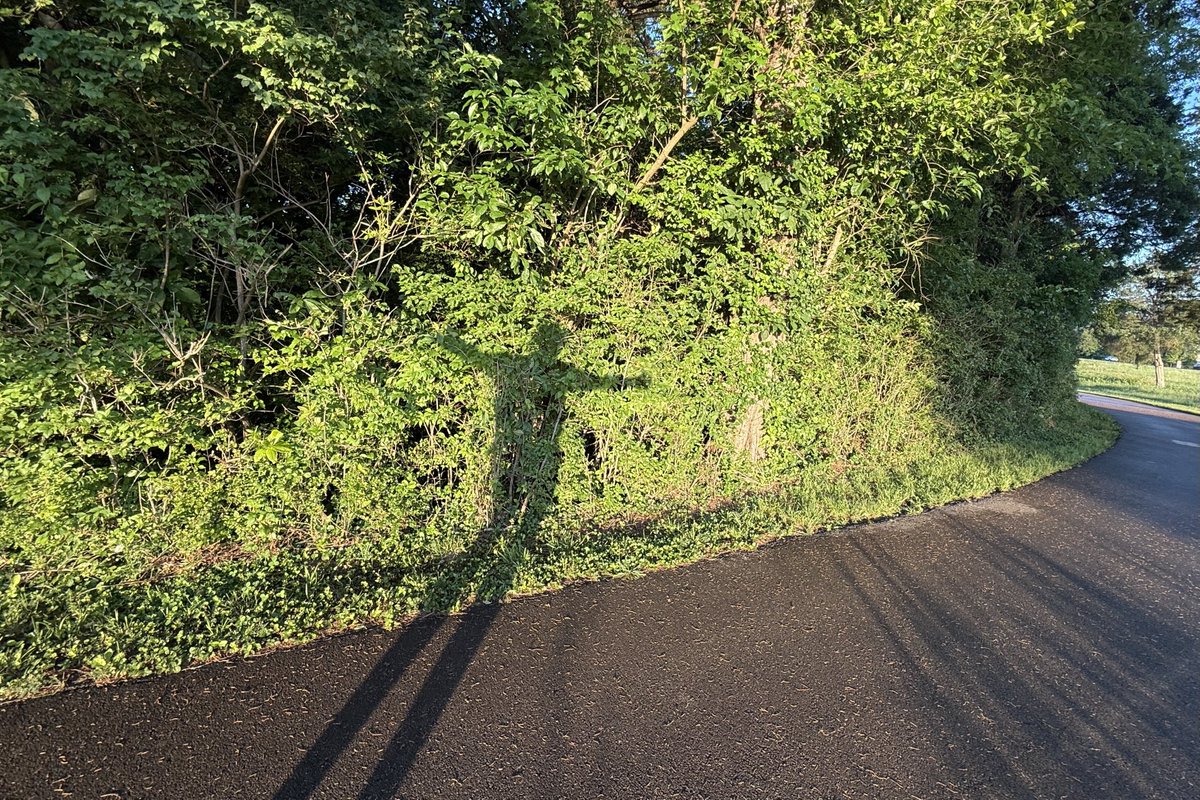 Sam Oldenburg tweet media