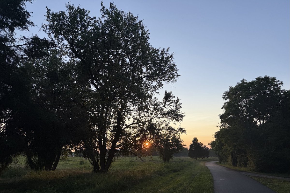 Sam Oldenburg tweet media