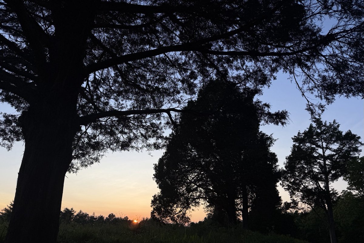 Sam Oldenburg tweet media