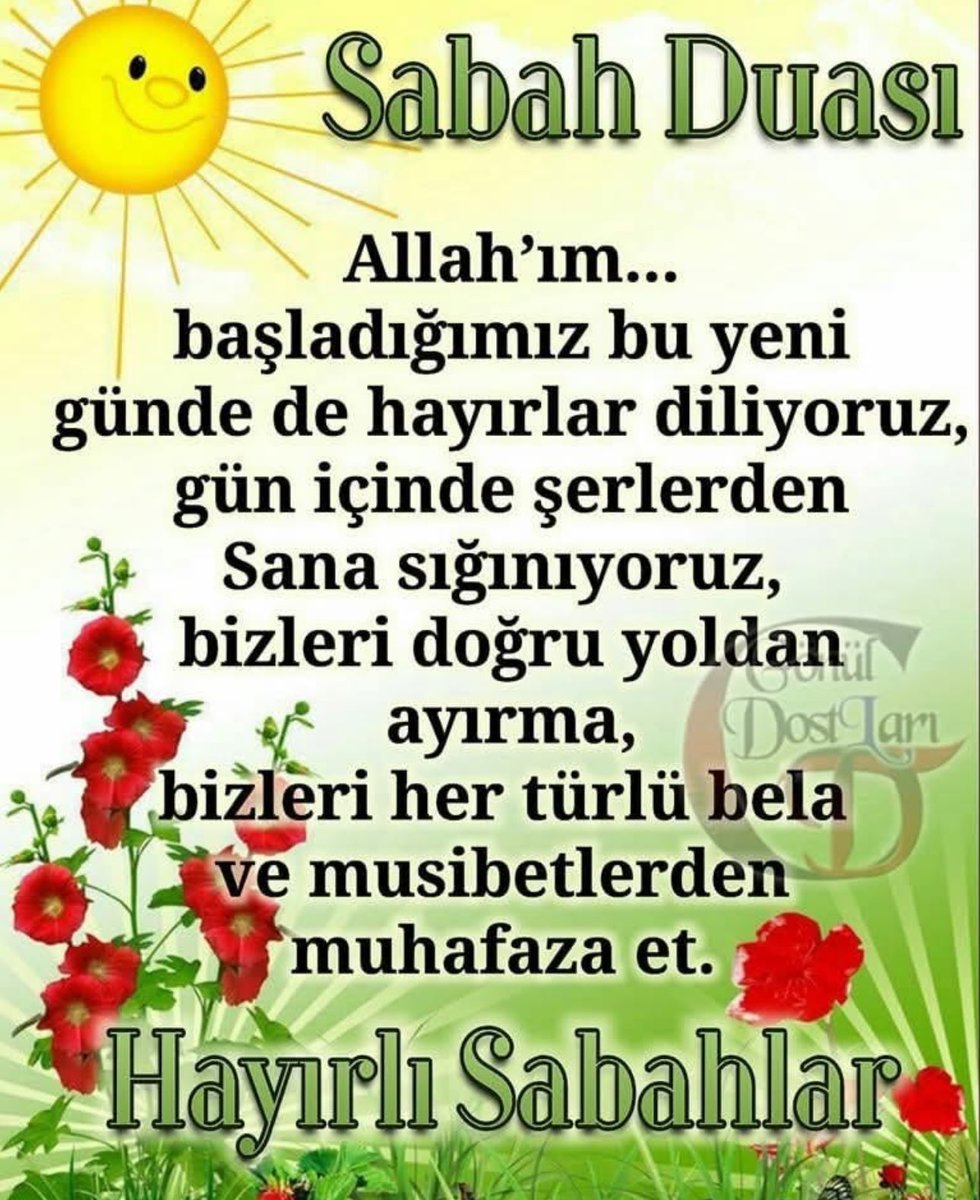 Yüksel Eyüboğlu (@eyuboglu_yuksel) on Twitter photo 