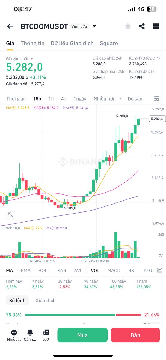 Mèo nó bịp cả thế giới chơi gì bỏ đi mà làm người các bạn trẻ