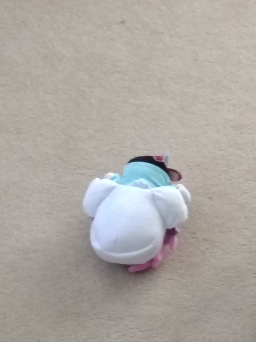 Vassco251 tweet media