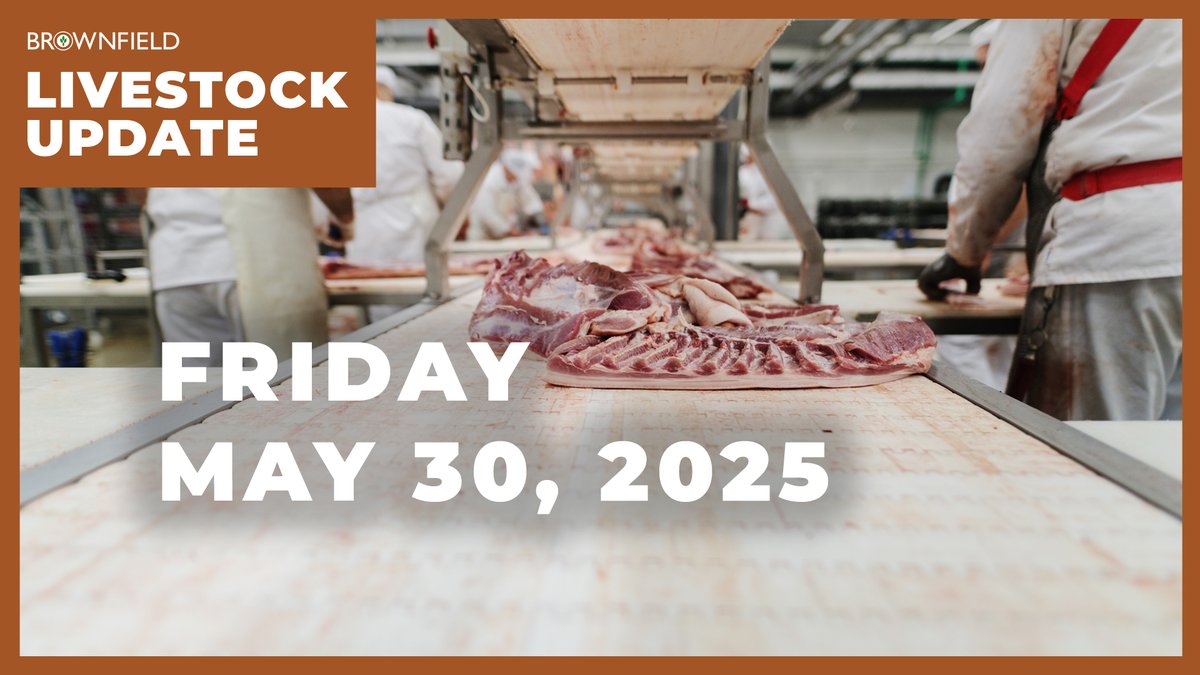 VIDEO: Beef cow slaughter drops 17% from last year. More details from <a href="/BRNAgNews_MG/">Meghan Grebner</a> and <a href="/KYCattleEcon/">Kenny Burdine</a> in this Weekly Livestock Market Update.

Watch here: youtu.be/9YKJGY9gClk