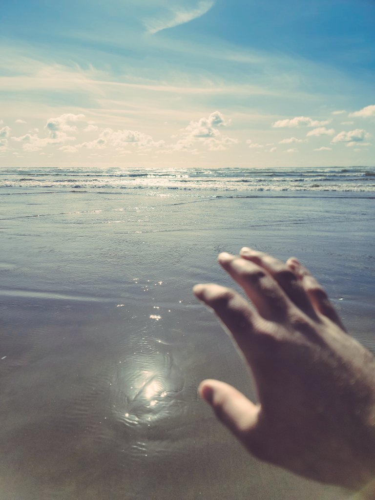 Flashback Friday to when I visited the beach - Fred