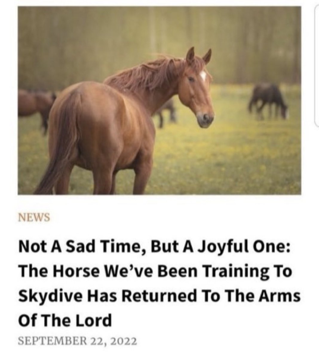 clairvoyan7's tweet image. how it feels to try to play overwatch at the ripe old age of 22