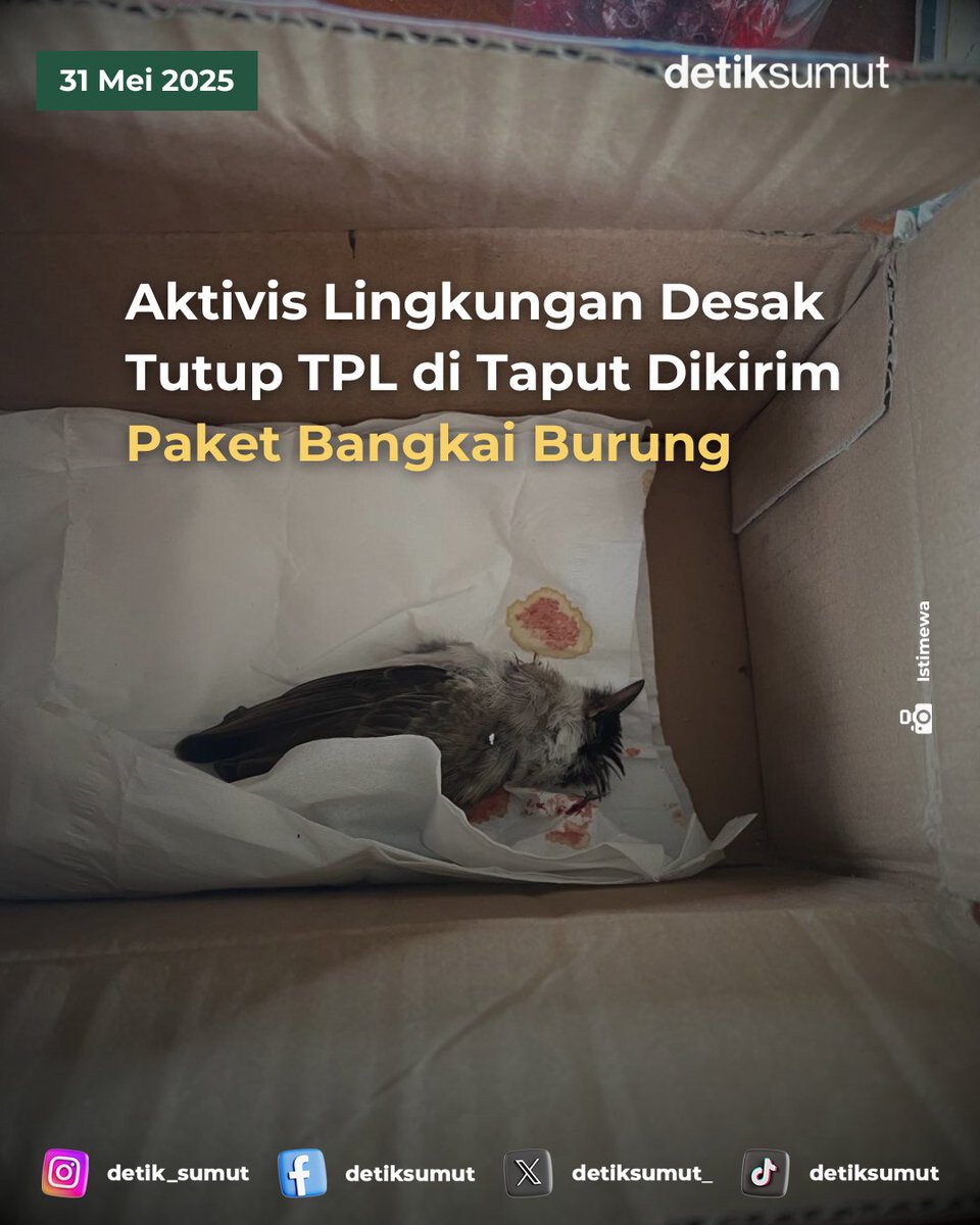 detiksumut_'s tweet image. OMAAK NGERI KALI BAH

Aktivis lingkungan Delima Silalahi menerima paket berisi burung mati, diduga sebagai teror. Rekan menyebut ini upaya menakut-nakuti penentang PT TPL.

dtk.id/N4H9NP

#AktivisLingkungan #TobaPulpLestari #Teror #BangkaiBurung #TapanuliUtara