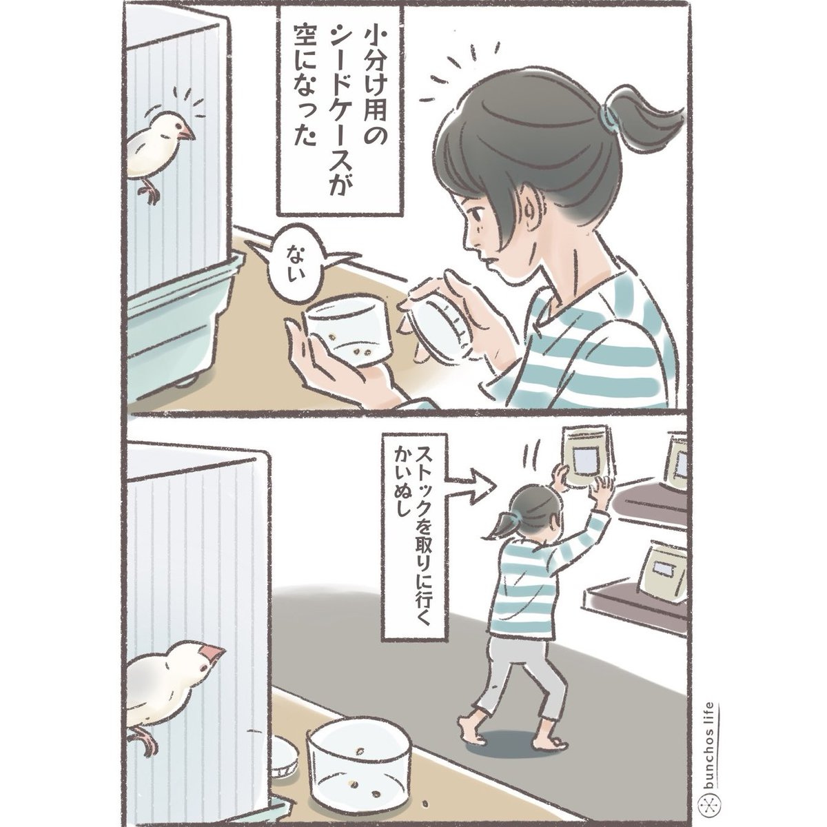 大量のシードを見てテンションが上がる1号可愛い✨
#文鳥 
#4コマ漫画 
