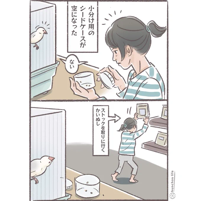 大量のシードを見てテンションが上がる1号可愛い✨
#文鳥 
#4コマ漫画 