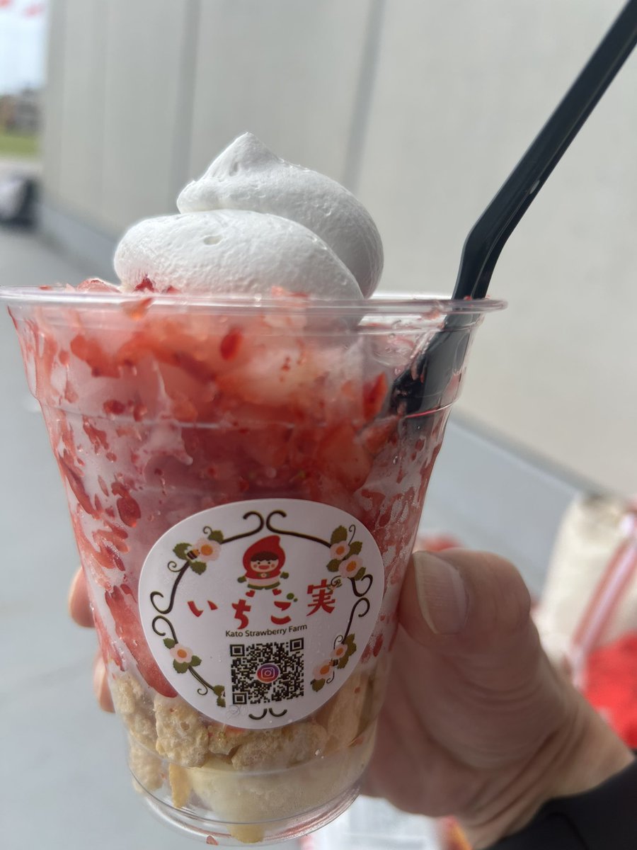 roooadking's tweet photo. 過去一
スタグル買った！ https://t.co/fyvSVL8YYD