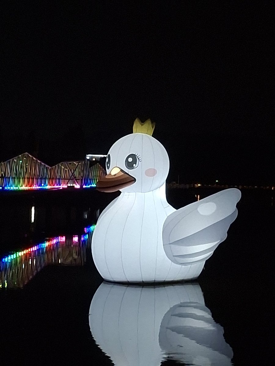 호숫가에서 즐겁게 작업하고 돌아왔사와요 ✌