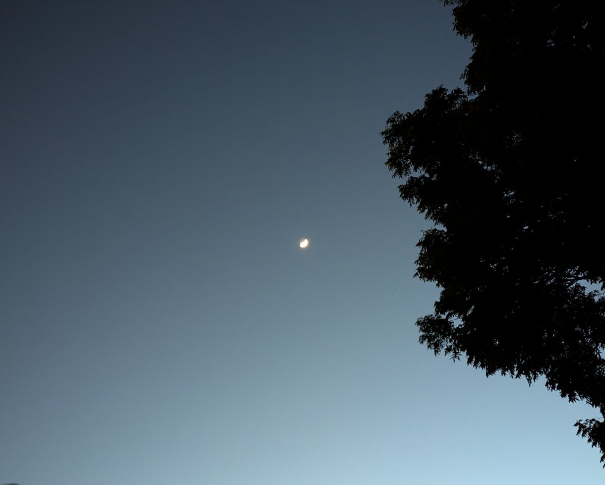 SamObiWon's tweet image. Busy day, stressful, but a beautiful evening makes for a soft landing.🔥🌙
#TexasSkies
#CoolNight