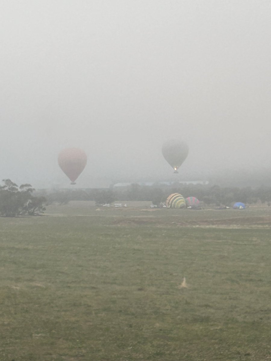 Glen Brayshaw tweet media