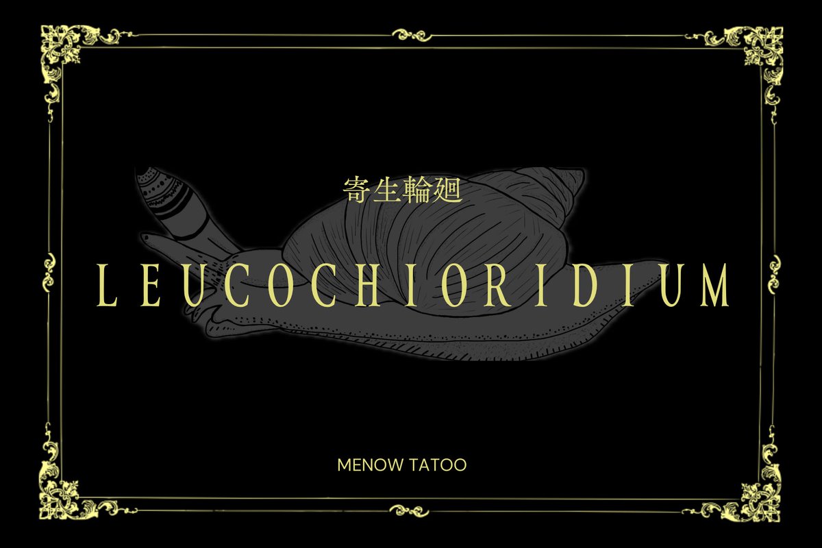 MENOWTATOO tweet media