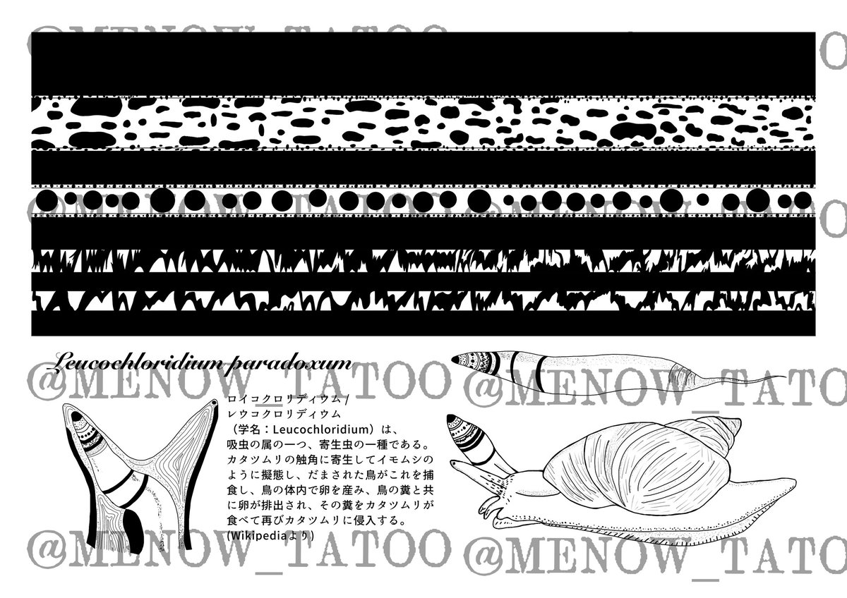 MENOWTATOO tweet media