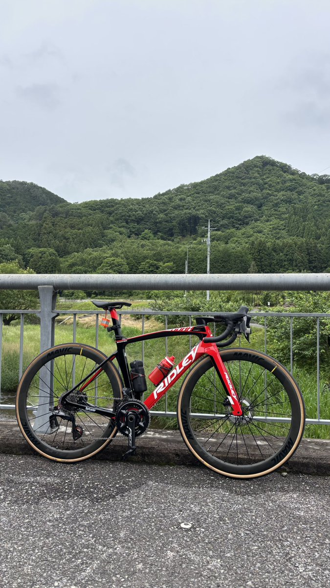 Matthew62945438's tweet photo. 2025.5.31
RIDLEY Noah Fast
Morning cycling
途中から雨が降り出したので急ぎ帰宅
#ロードバイク乗りと繋がりたい #ロードバイク好きな人と繋がりたい #ロードバイク #RIDLEY #RIDLEYBike #NoahFast #라이딩 #Mavic #Morning #朝 https://t.co/o6IMIGgXqp