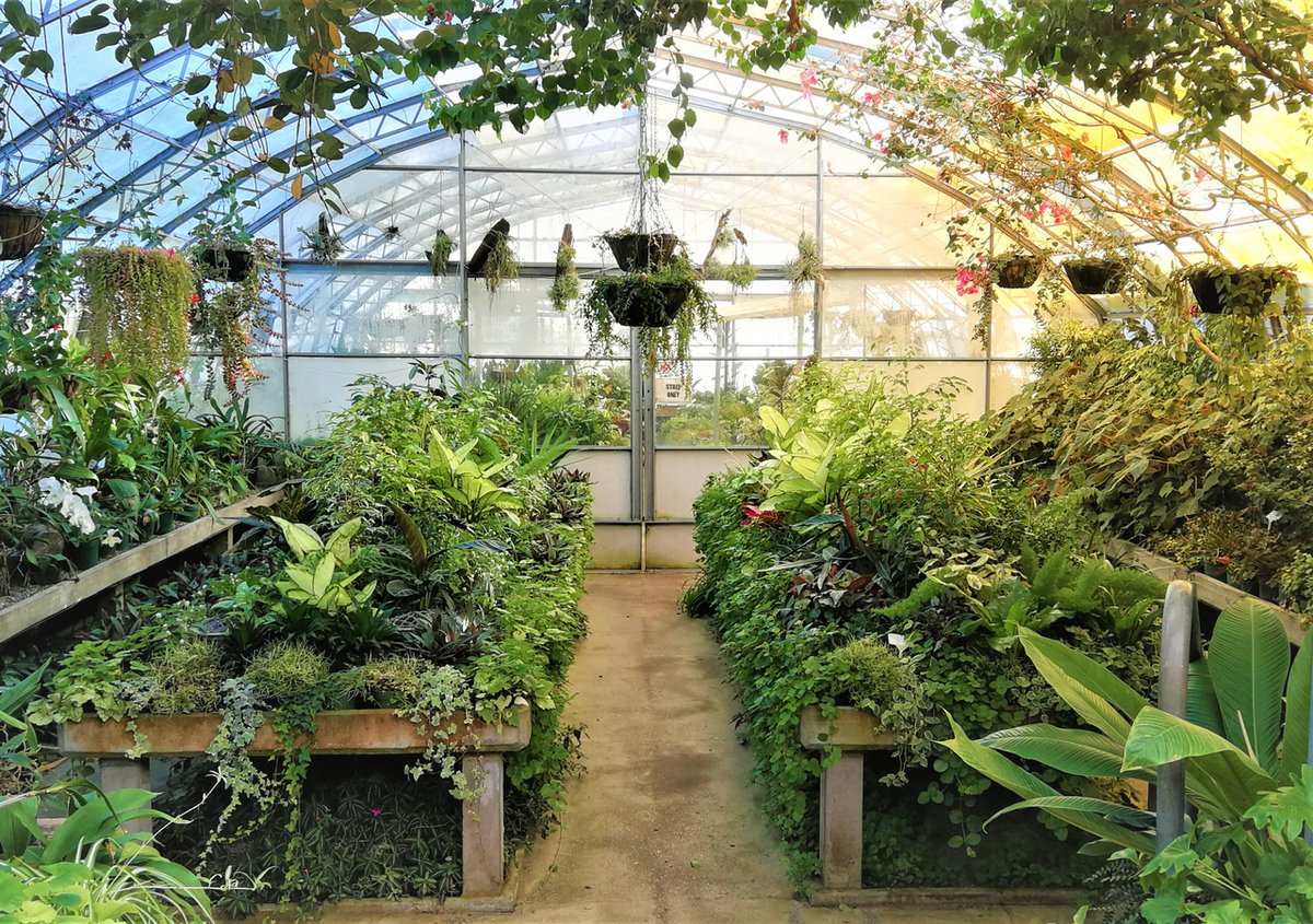 No matter the weather, Invercargill has something for everyone ☔

For some ideas on what to do on a rainy day in Invercargill, check out the article below 👇 southlandnz.com/stories/things… 

📍 Queens Park, Invercargill

#SouthlandNZ #QueensPark