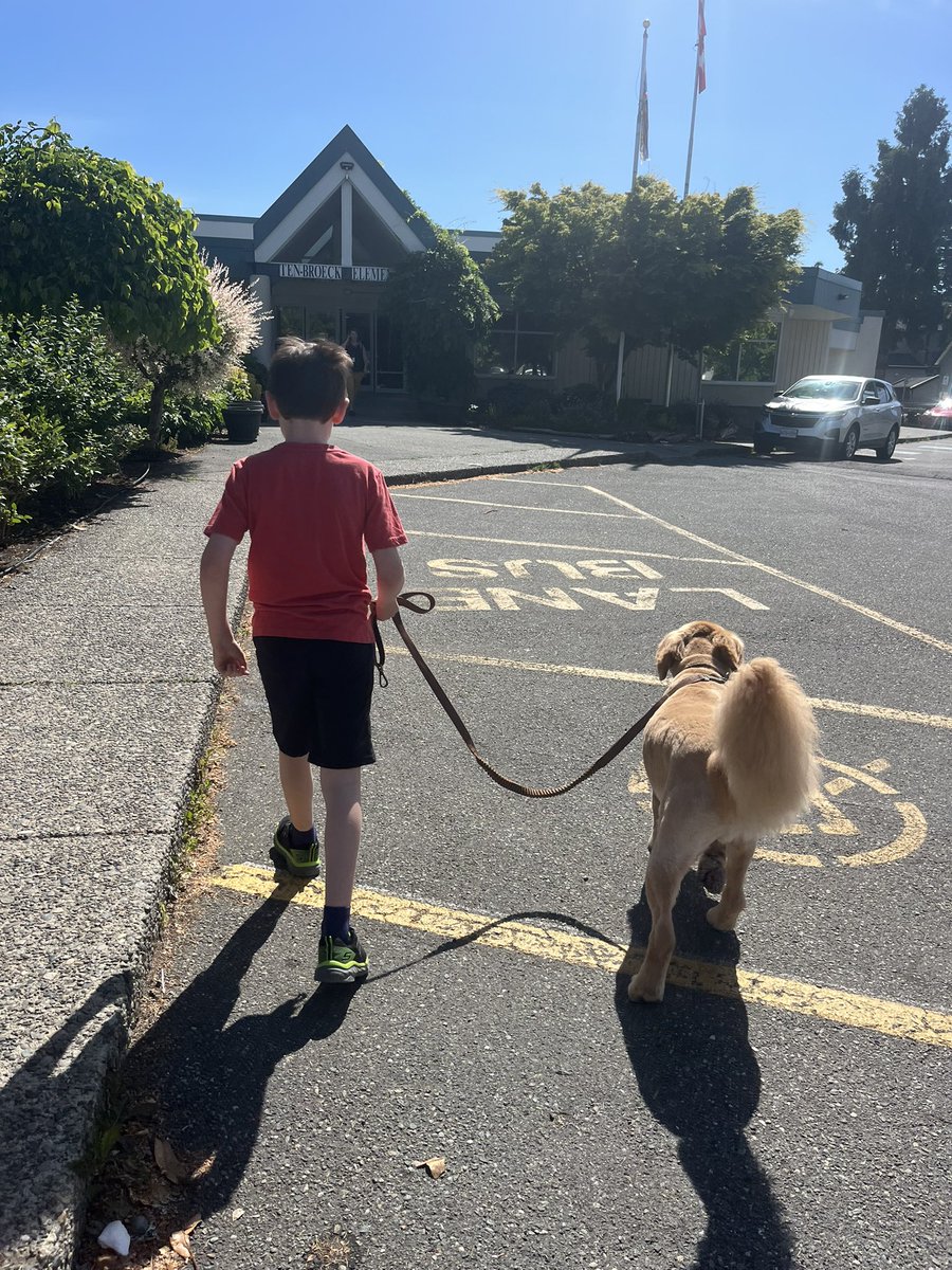 tenbroeckelementary (@tenbroeckelem) on Twitter photo We had a special visitor today at Ten-Broeck who loved all the snuggles and walks! <a href="/AbbotsfordSD/">Abbotsford Schools</a> We had a special visitor today at Ten-Broeck who loved all the snuggles and walks! <a href="/AbbotsfordSD/">Abbotsford Schools</a>
