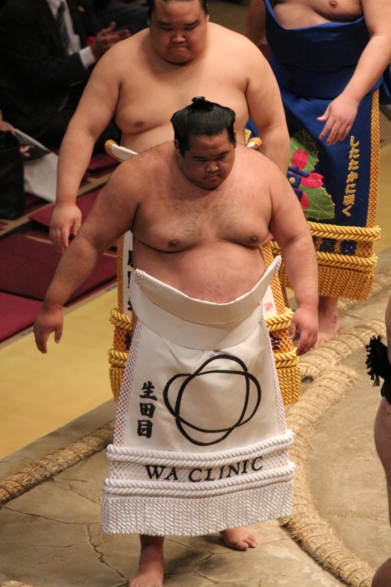 大相撲大全集「昭和の名力士 」第12巻 ☆戦後史を飾る名大関達