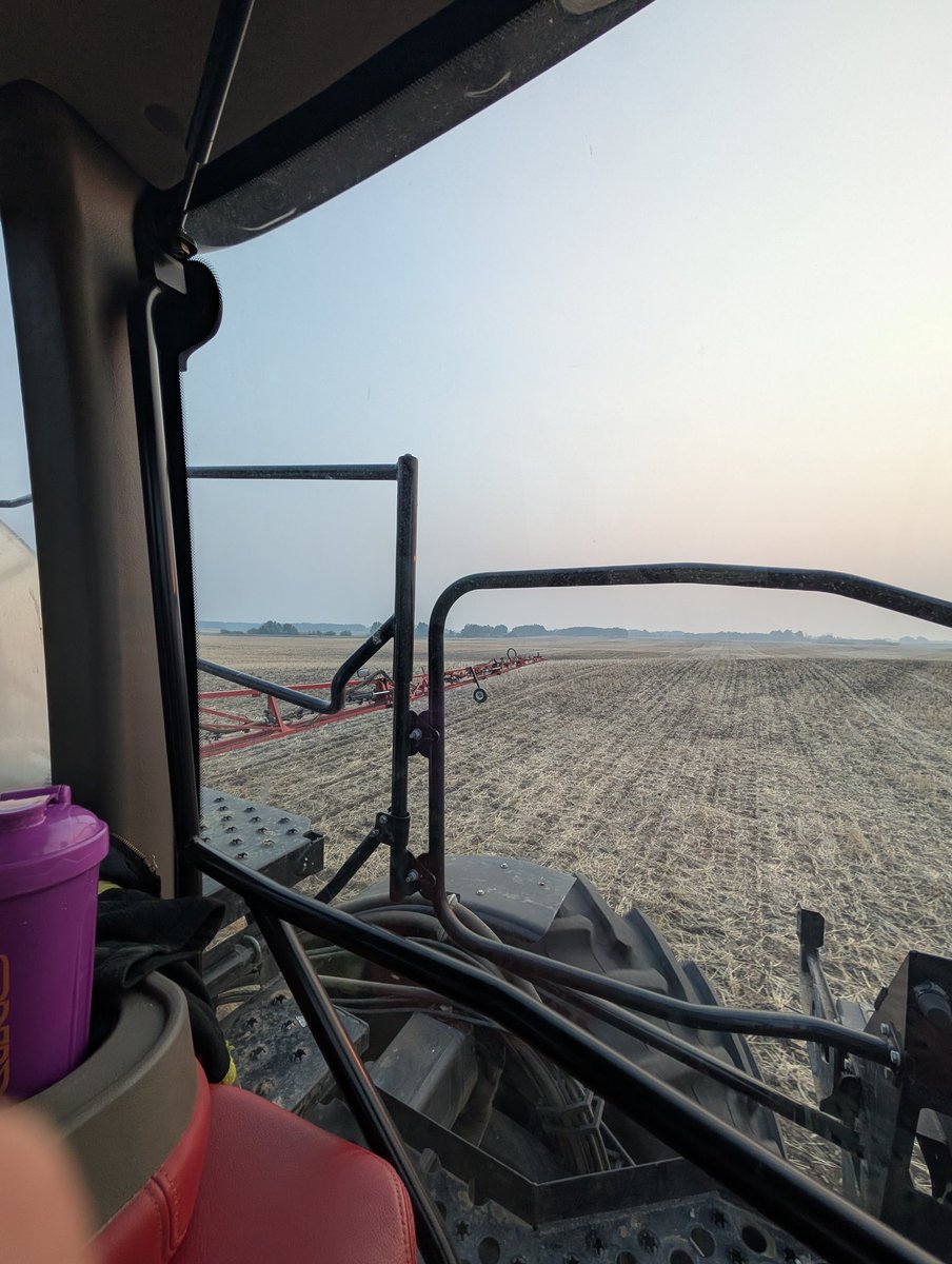 Spot spraying some flee beetles instead of being at the lake on a Friday night