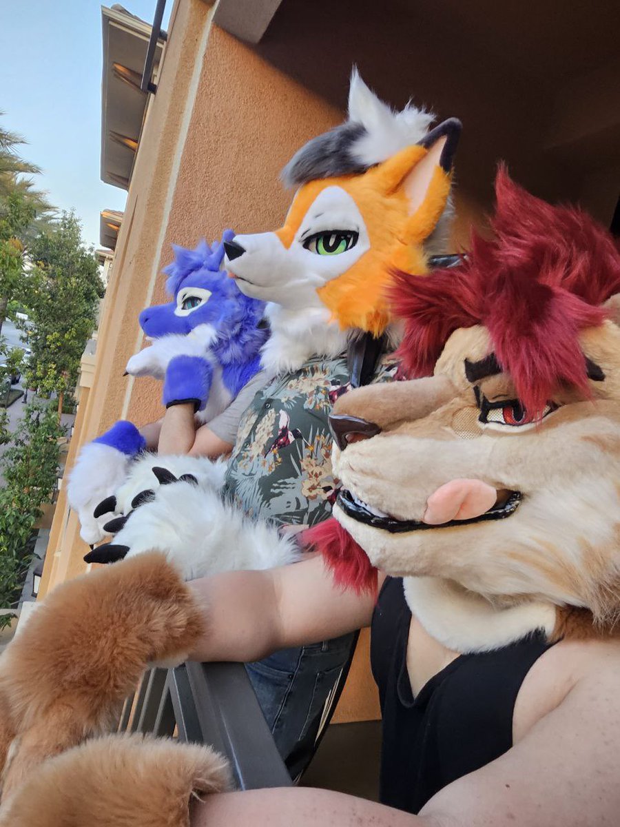 Wally 🔜 FWA (@wallydaworca) on Twitter photo What are they thinking about? 🤔
<a href="/Canis_Major_C/">✨CanisMajor ✨</a> suit sibling pic w/ <a href="/holidaysoftfox/">Holiday🔜AC</a> and <a href="/revelionart/">𝑅𝐸𝑉𝐸𝐿𝐼𝑂𝑁 🔜 AC, AFC</a> :3
📸: <a href="/froggerhours1/">Forest</a>, <a href="/BufffBuck/">BuffBuck</a> What are they thinking about? 🤔
<a href="/Canis_Major_C/">✨CanisMajor ✨</a> suit sibling pic w/ <a href="/holidaysoftfox/">Holiday🔜AC</a> and <a href="/revelionart/">𝑅𝐸𝑉𝐸𝐿𝐼𝑂𝑁 🔜 AC, AFC</a> :3
📸: <a href="/froggerhours1/">Forest</a>, <a href="/BufffBuck/">BuffBuck</a>