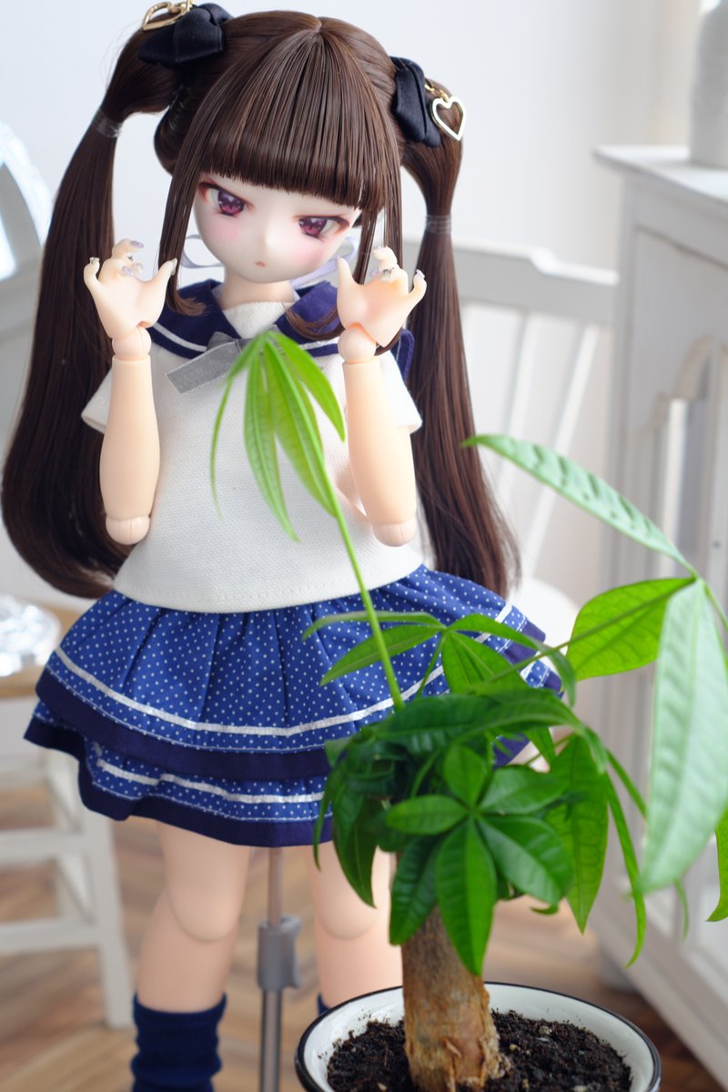 キミ！めちゃ伸びるね！！🪴
彩葉ちゃんもびっくりだよ(笑)