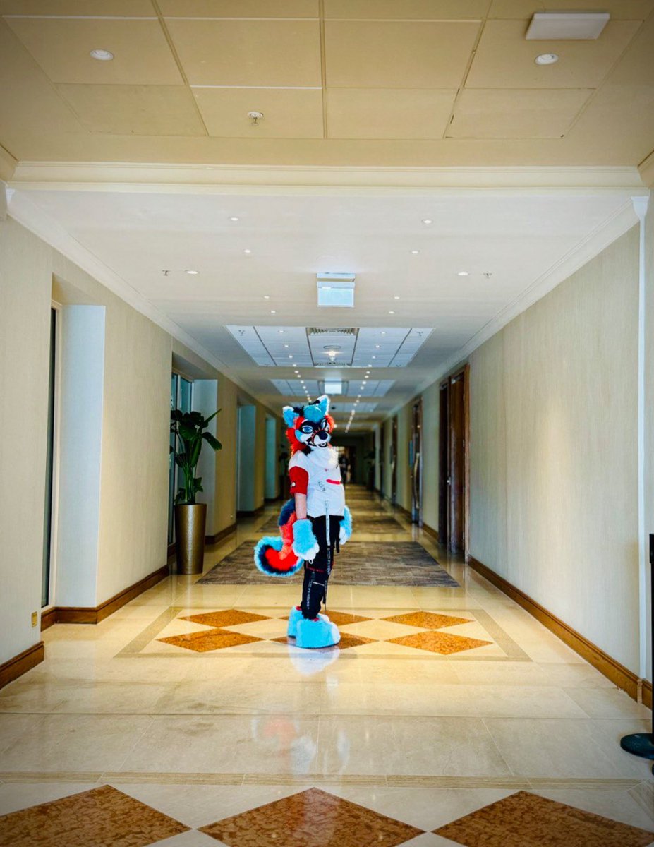 Where is everyone ;-;
#CFz25