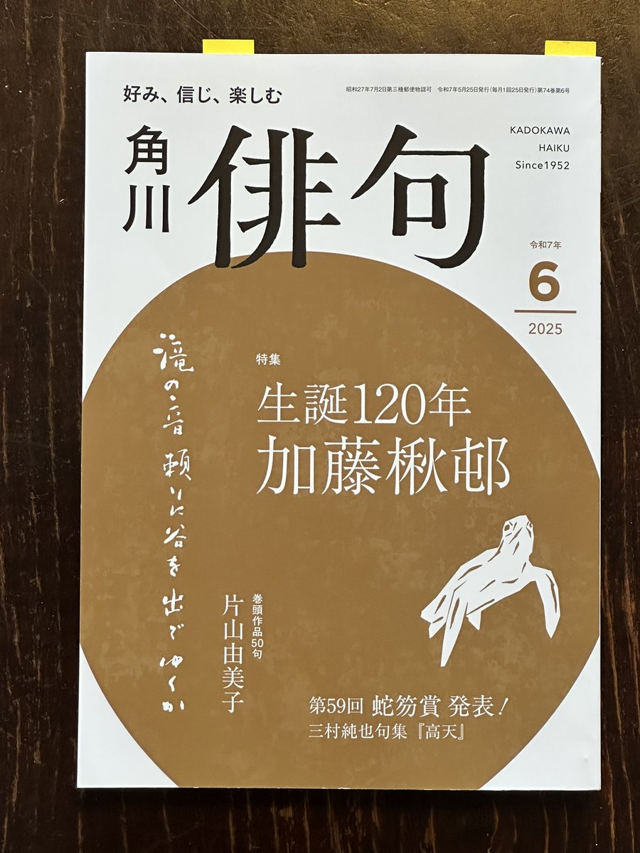 あをきものはるかなるものいや遠き これは、加藤楸邨、最後の一句