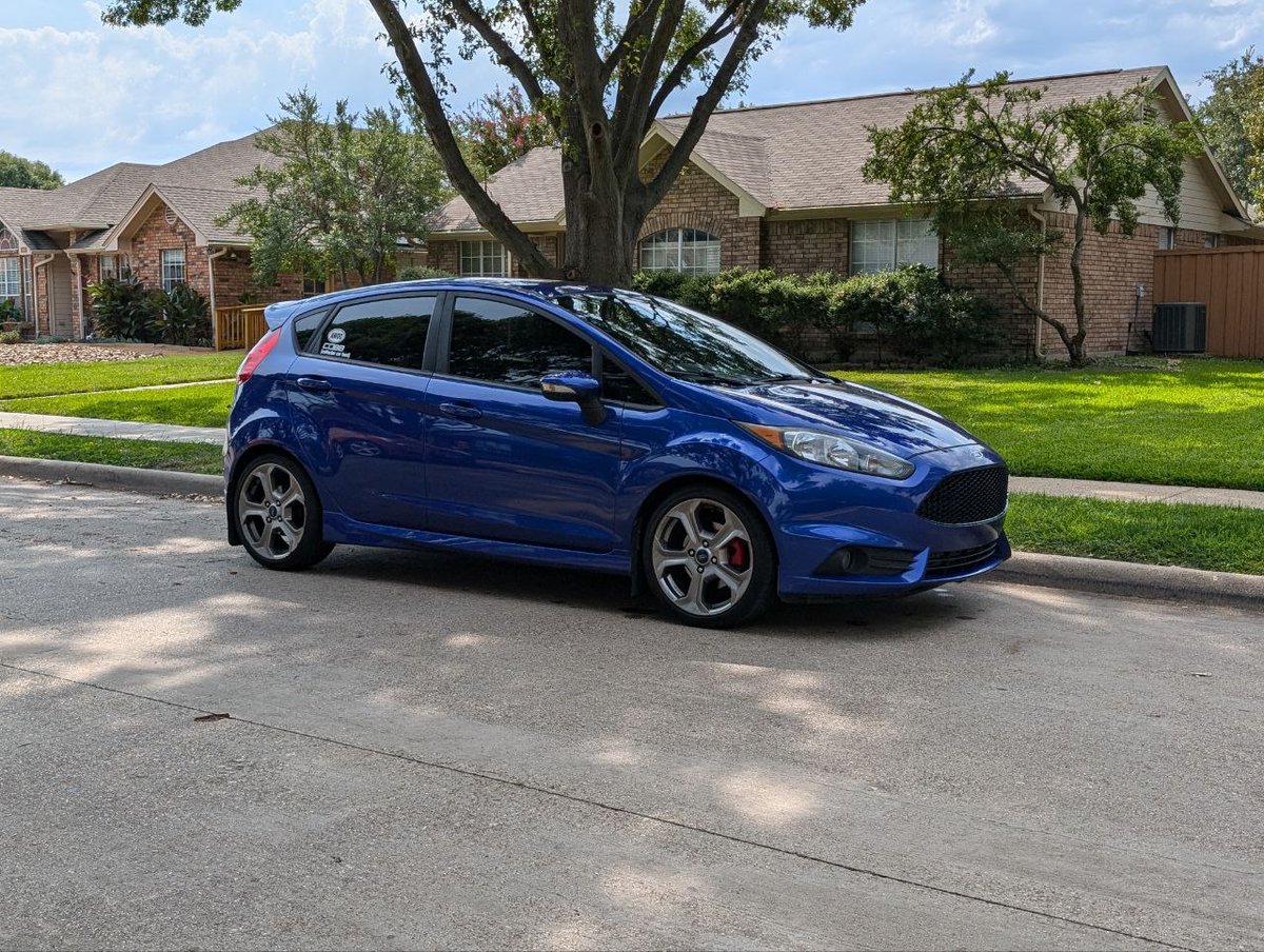 Pupper_Wupper's tweet image. love this bean 💙