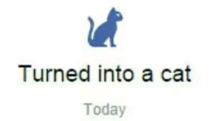 Punch Cat tweet media