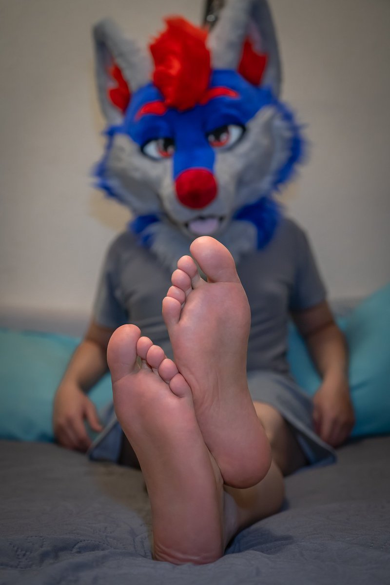 Rockey Pawsy (@Pawsy_Paws) / Posts / X