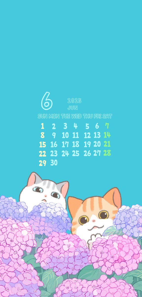 6月の無料壁紙です🐸🐱📅☔ 保存してご利用いただけます🐸🐱