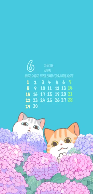 6月の無料壁紙です 保存してご利用いただけます