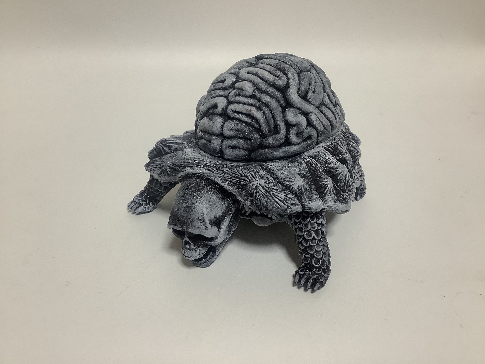 99ブレインタートル 12ブレインタートル 36ブレインタートル Interactions of Influenza