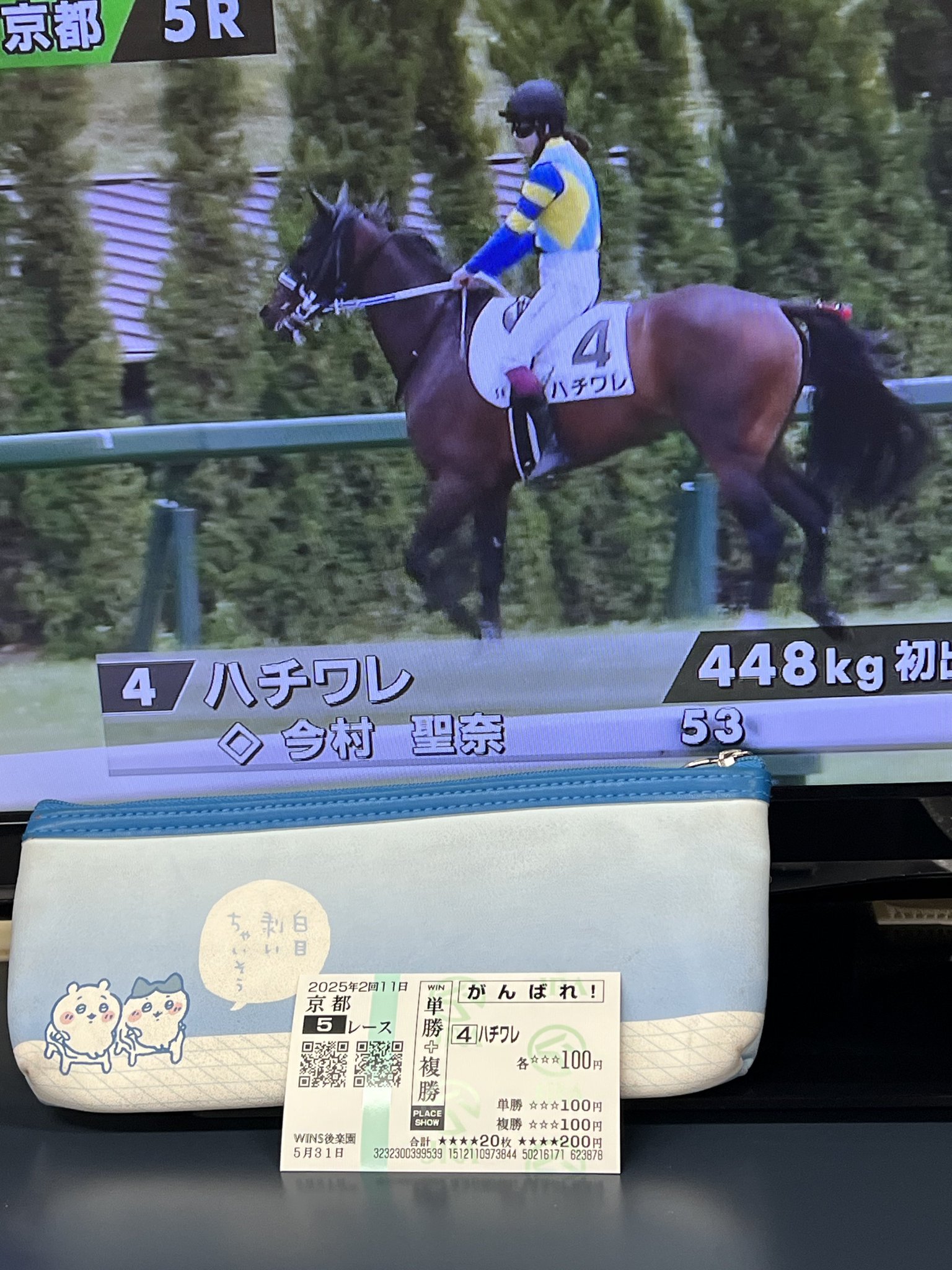 応援馬券(ハズレ、もしくは期限切れ) そふ☕ on X: 