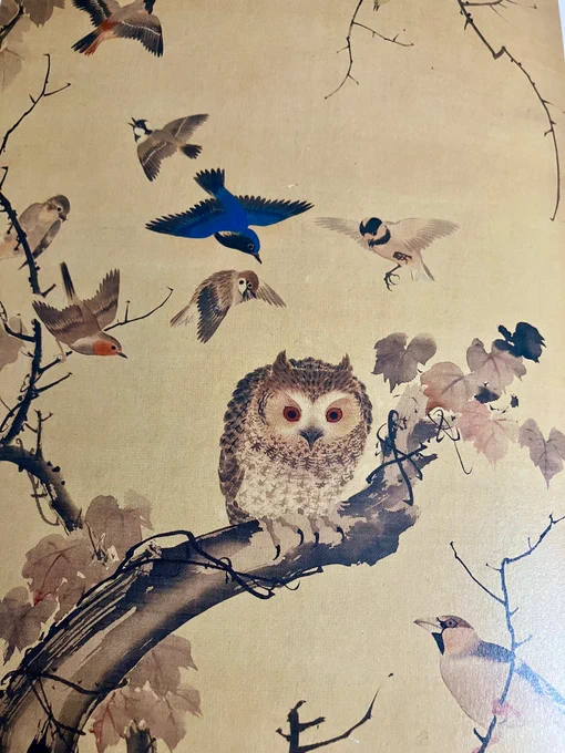 わたし、江戸琳派が好きで鈴木其一もかなり好きなんですが(この絵、フクロウに小鳥達がモビングという嫌がらせをしてるとこです)