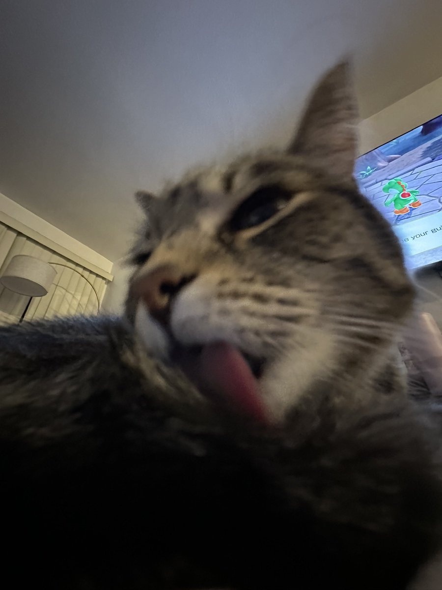 2DHIME's tweet image. 