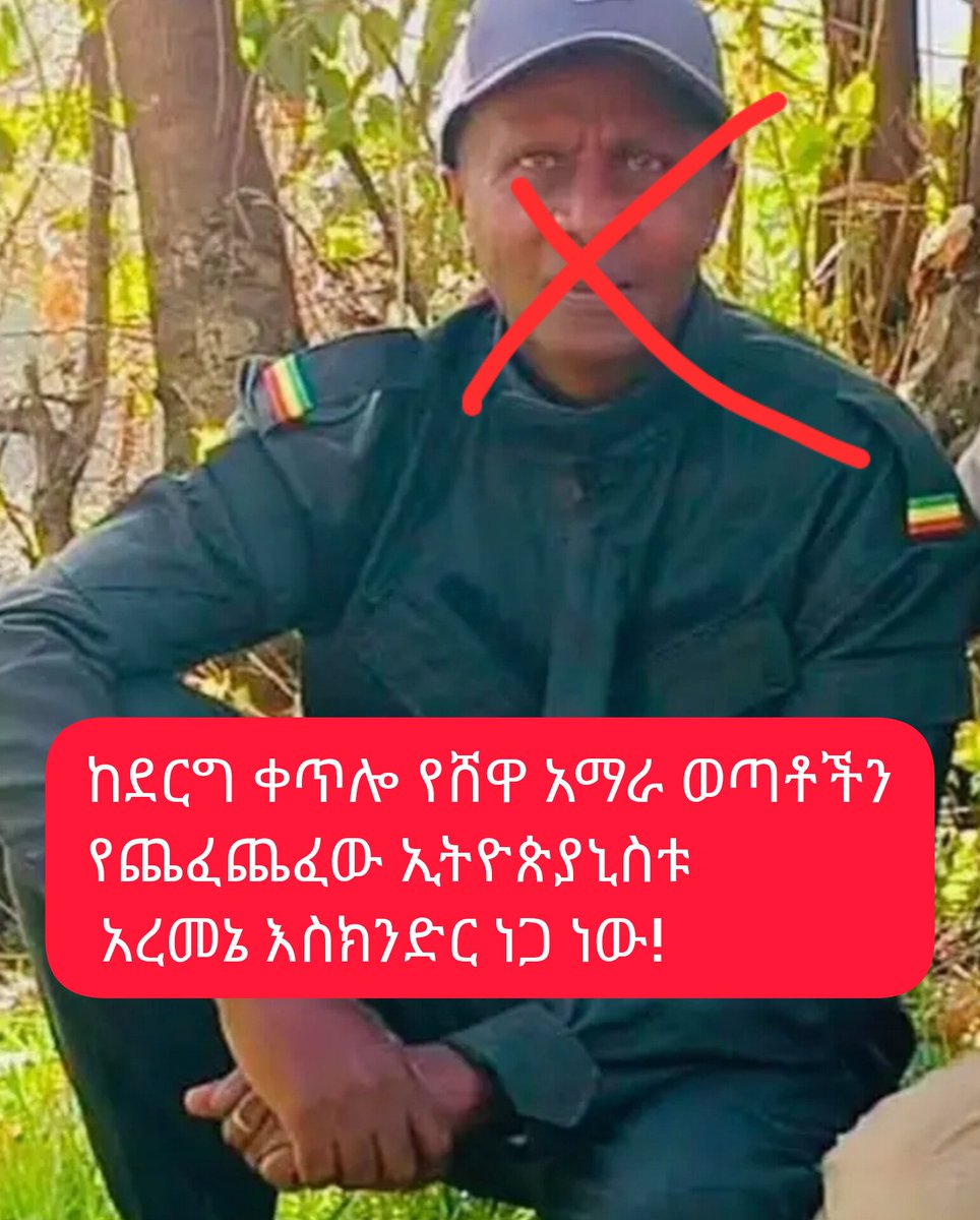 Amhara/አምሐራ tweet media