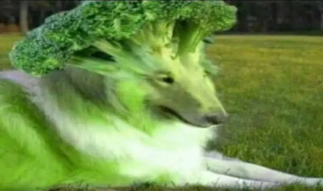 <a href="/k1nopsia/">Kino</a>