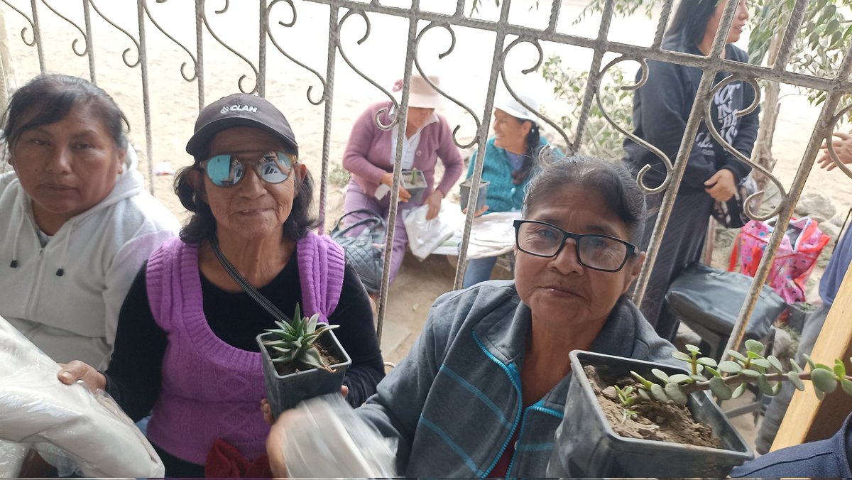 Legendarios_Vol's tweet photo. Adulto Mayor "Esperanza al Futuro" Barrio 3 - Alto Trujillo 

Compartimos con nuestras niñas grandes brindándoles una planta decorativa, una capucha de lana y un pantalón de drill. 

Agradecemos el apoyo de @corladlalibertad, @viverotrujillogarden y @convierteinmobiliaria. https://t.co/hmKHZgWd6s