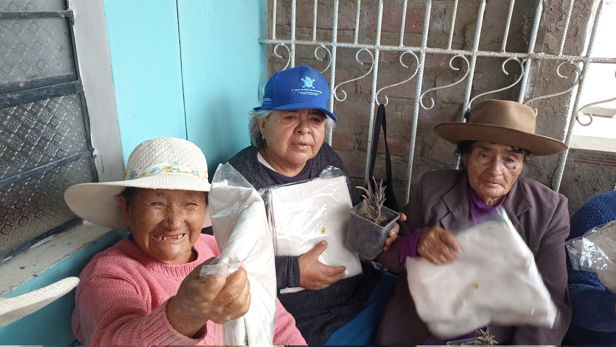 Legendarios_Vol's tweet photo. Adulto Mayor "Esperanza al Futuro" Barrio 3 - Alto Trujillo 

Compartimos con nuestras niñas grandes brindándoles una planta decorativa, una capucha de lana y un pantalón de drill. 

Agradecemos el apoyo de @corladlalibertad, @viverotrujillogarden y @convierteinmobiliaria. https://t.co/hmKHZgWd6s