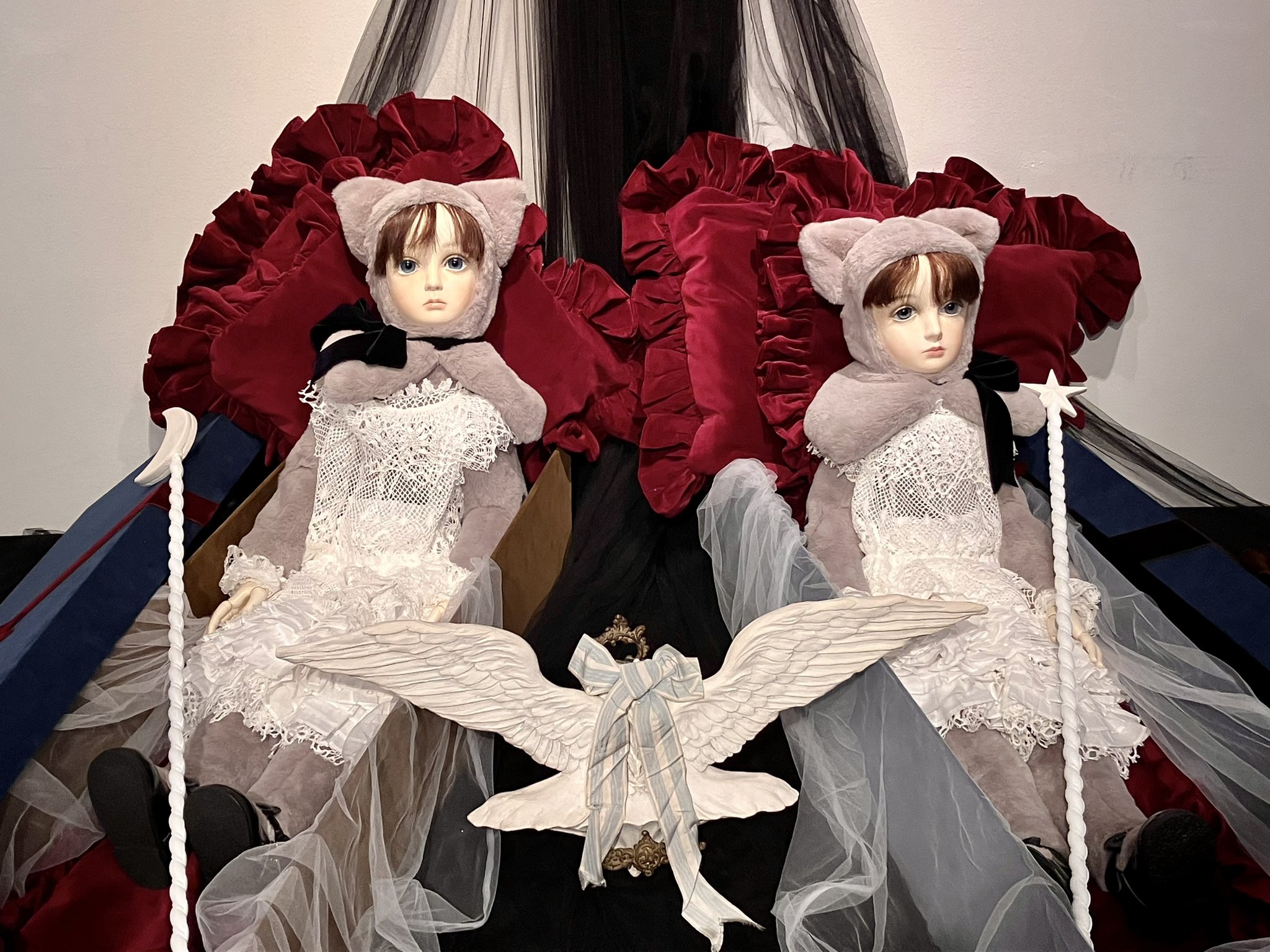 【白藤•*¨*•.¸♬︎⠀】 白駒🦄 on X: 