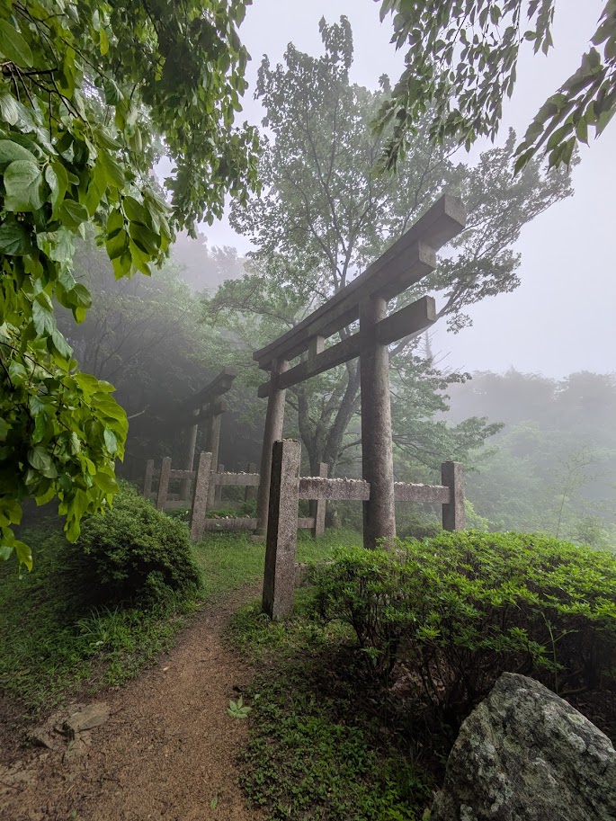 #高野山 へ至る #町石道。
（左）落葉の堆積から露出するのは #赤土。赤土は #辰砂。京都の #紅殻（ベンガラ）。神社の丹塗り。正体は #硫化水銀。町石道を歩くと赤土が多い事に気付く。
（右）#丹生都比売神社 の二つ鳥居。町石道沿いにある。丹生とは丹（赤土）を生むという意味で、その神さん。