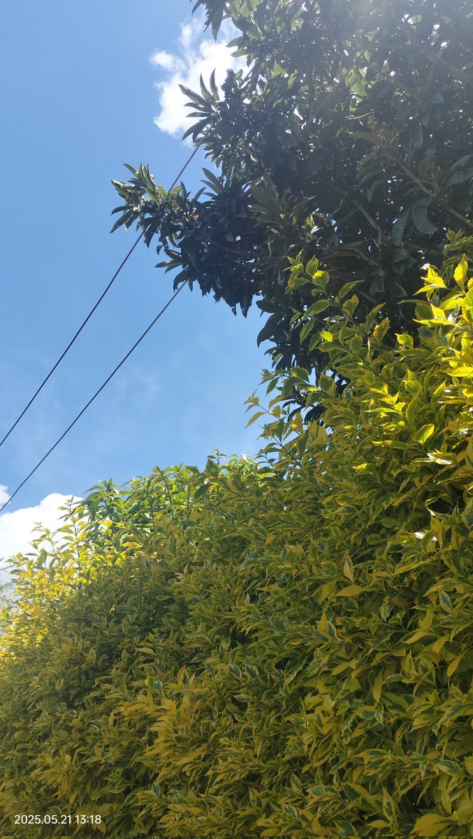 KenyaMails's tweet photo. @KenyaPower_Care This is in regards to the case reference 12834770, which was reported 2 months ago, and a several calls every week, and it has never been sorted. I will regard this as total negligence and incompetence from the Kenya Power Borabu Kijauri. Very Poor work done https://t.co/KzIspuqQ76