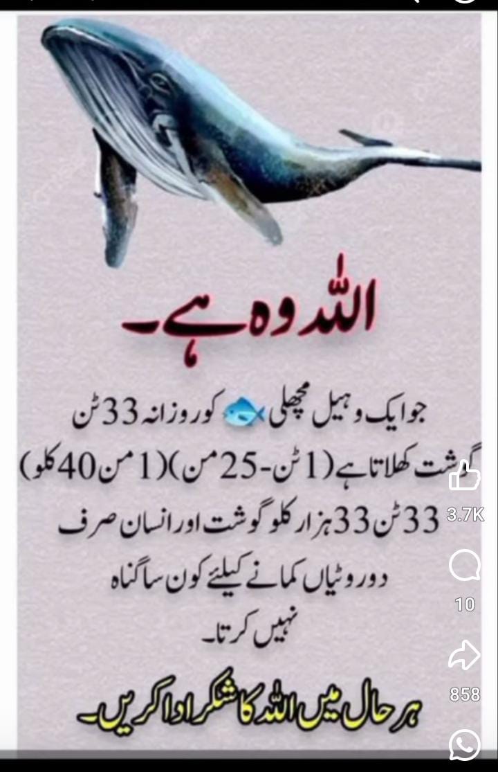 #عطاری_پرموشن
Morning🎓ᴸⁱˢᵗ⁴ 
<a href="/X1myX/">Qadri</a>
<a href="/AH_3_13/">Abdullah Habib</a>
<a href="/hussu_1/">Syed Hassan Bilal Kazmi</a>
<a href="/AliR12n/">Ali Ahmed</a>
<a href="/imshanix/">Z E E S H A N</a>
<a href="/HS_Attari/">Saqlain Attari</a>
<a href="/dil740618/">باغی</a>
<a href="/moizza_215/">💕Rukhsana Rais.💕</a>
<a href="/umar_5687/">𓅋๛⃝🅼︎🆄︎🅷︎🅰︎🅼︎🅼︎🅰︎🅳︎ ᵘᵐᵃʳ-ᵒⁿᵉ ≛⃝🇵🇸🥷🇵🇰</a>
<a href="/ZSyfy2608/">ظہیر سیفی گجر</a>
<a href="/RazviMAsif/">MuhammadAsifRazvi</a>
<a href="/Gm_Mag55/">M_A_Ghaffari🇵🇰</a>
<a href="/Shafi_Akhtari/">Muhammad Shafi</a>
@Rizvi488844
<a href="/ChSalman740/">Ch Salman</a>
<a href="/ameergh9263/">Ameer Hamza Ghazi</a>
<a href="/Asim_Rizvi_864/">🇵🇰🇵🇸غاذی عاصم علی🇵🇸🇵🇰</a>
<a href="/yasinshaikh134/">𝕪𝕒𝕤𝕚𝕟 𝕤𝕙𝕒𝕚𝕜𝕙</a>
<a href="/IbrarHu0167077/">Ibrar Hussain</a>
<a href="/ShahrozAli27373/">Shahroz Ali</a>
🇵🇸