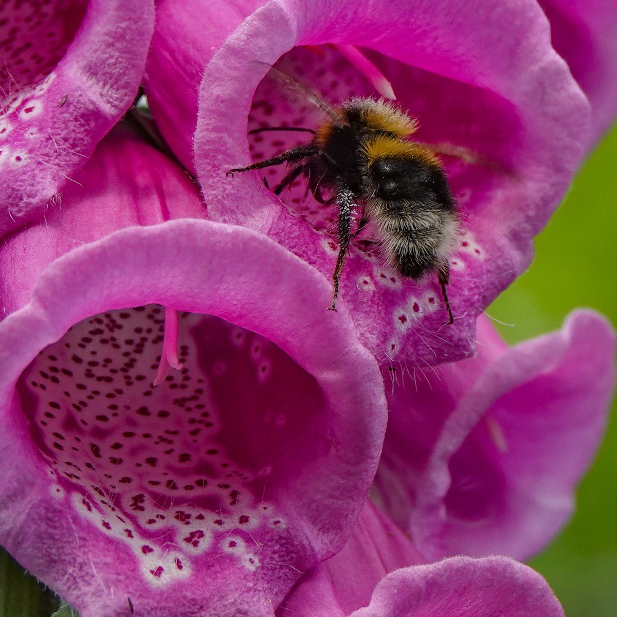 Stuart D tweet media