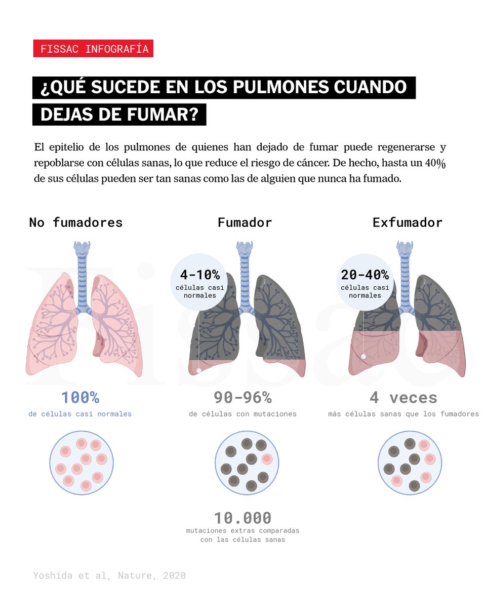 Por qué nunca es tarde para dejar de fumar Hoy es el Día Mundial Sin  Tabaco, y queremos darte un motivo más para dejar de fumar. El cáncer de  pulmón es el, image size:960x1200