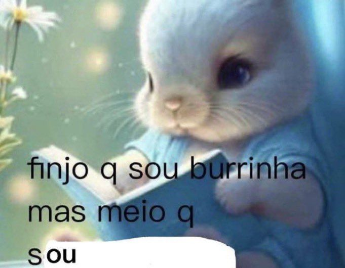 perfil dedicado a gatinhos e peitos (@odeiootaco) on Twitter photo 