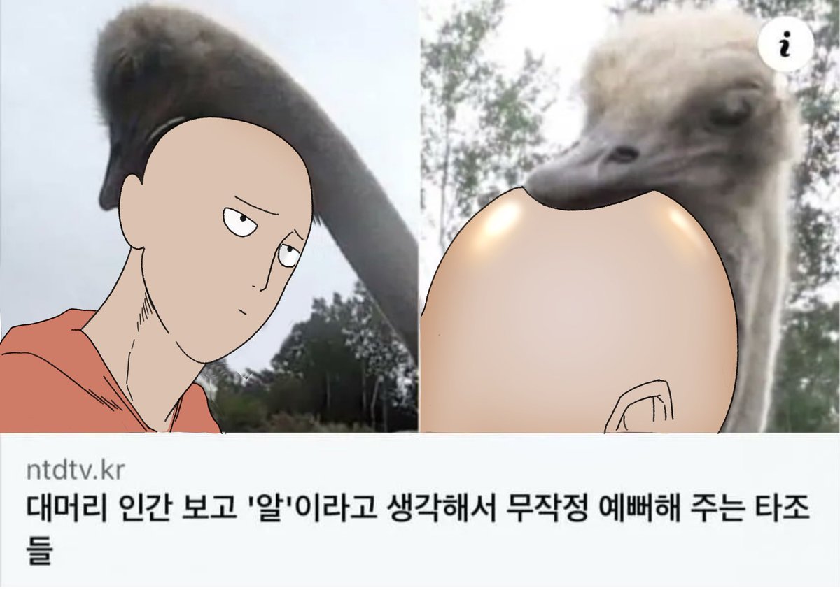 s0r0tonin's tweet photo. #saitma https://t.co/2hCK27ZG47